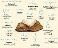 Mùi sách cũ do hóa chất nào gây nên?